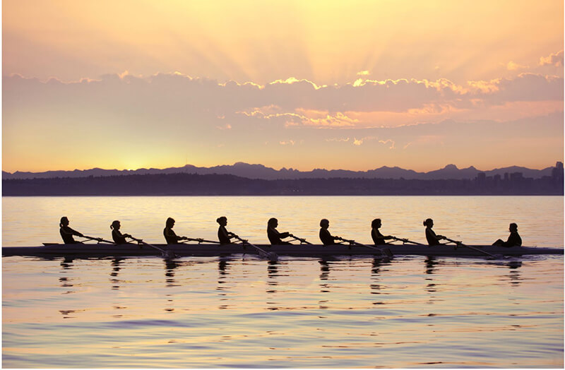 People rowing in canoes